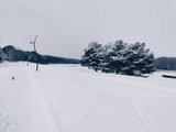 <p>2021-01-16 lygumų slidinėjimas Birštone. Nuotr. Rūta Kapačinskaitė (18)</p>