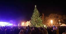 <p>Christmas tree lighting on 12/02/2023. Photo by Vaidotas Grigos.</p>
