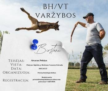 Конкурсный экзамен BH/VT. Тест на послушание и поведение собак