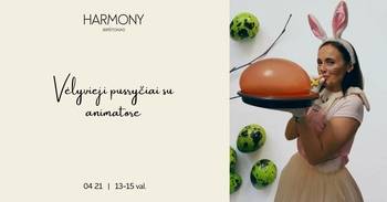 Brunch mit Animator | Harmony Birstonas