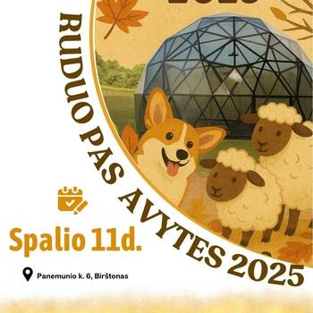 Ruduo pas avytes | Valų korgių sąskrydis