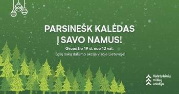 Akcija „Parsinešk Kalėdas į savo namus“