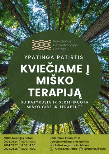 Forest therapy with an experienced and certified forest guide and therapist