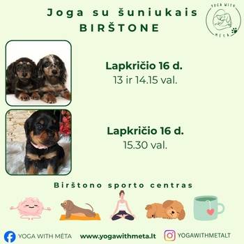 Joga ze szczeniakami