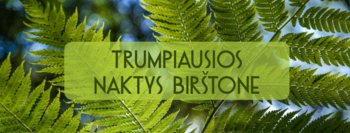 Trumpiausios Birštono naktys | Joninės