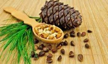 Priežu riekstu un priežu riekstu eļļas degustācija