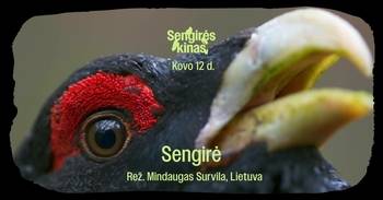 SENGIRĖ-KINO: Vorführung des Films „Sengirė“