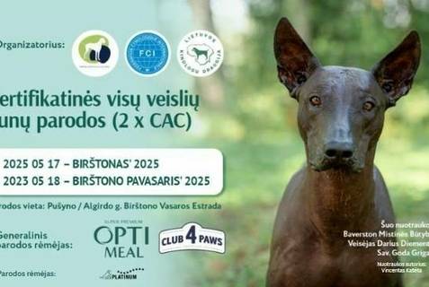 Koltuk kiygan etuk ayol shaxsiy fotosurati