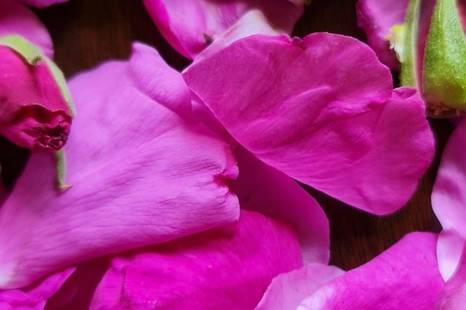 Psychosomatyka. Dla duszy i ciała: od śmierci do życia