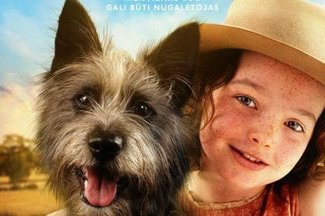 Animationsfilm „Kleiner Champion“